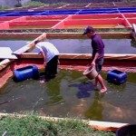 Sukses Berwirausaha: Bangkit dari Kegagalan